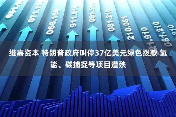 维嘉资本 特朗普政府叫停37亿美元绿色拨款 氢能、碳捕捉等项目遭殃