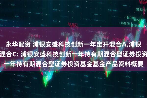 永华配资 浦银安盛科技创新一年定开混合A,浦银安盛科技创新一年定开混合C: 浦银安盛科技创新一年持有期混合型证券投资基金基金产品资料概要