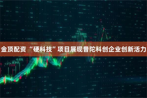 金顶配资 “硬科技”项目展现普陀科创企业创新活力