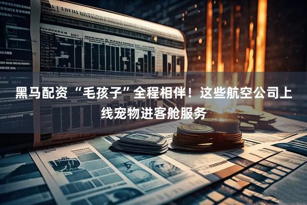 黑马配资 “毛孩子”全程相伴！这些航空公司上线宠物进客舱服务
