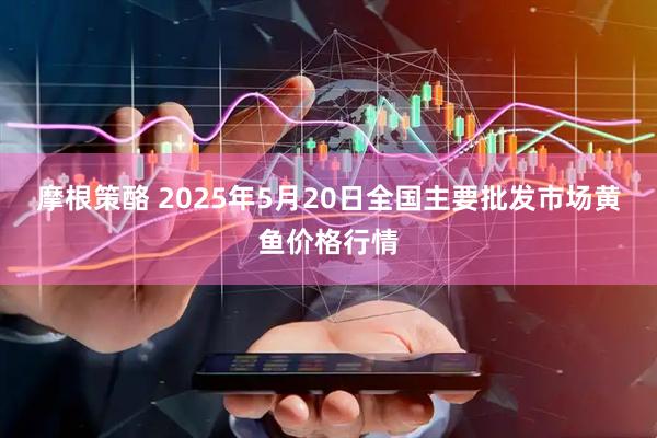 摩根策酪 2025年5月20日全国主要批发市场黄鱼价格行情