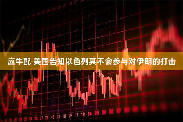 应牛配 美国告知以色列其不会参与对伊朗的打击